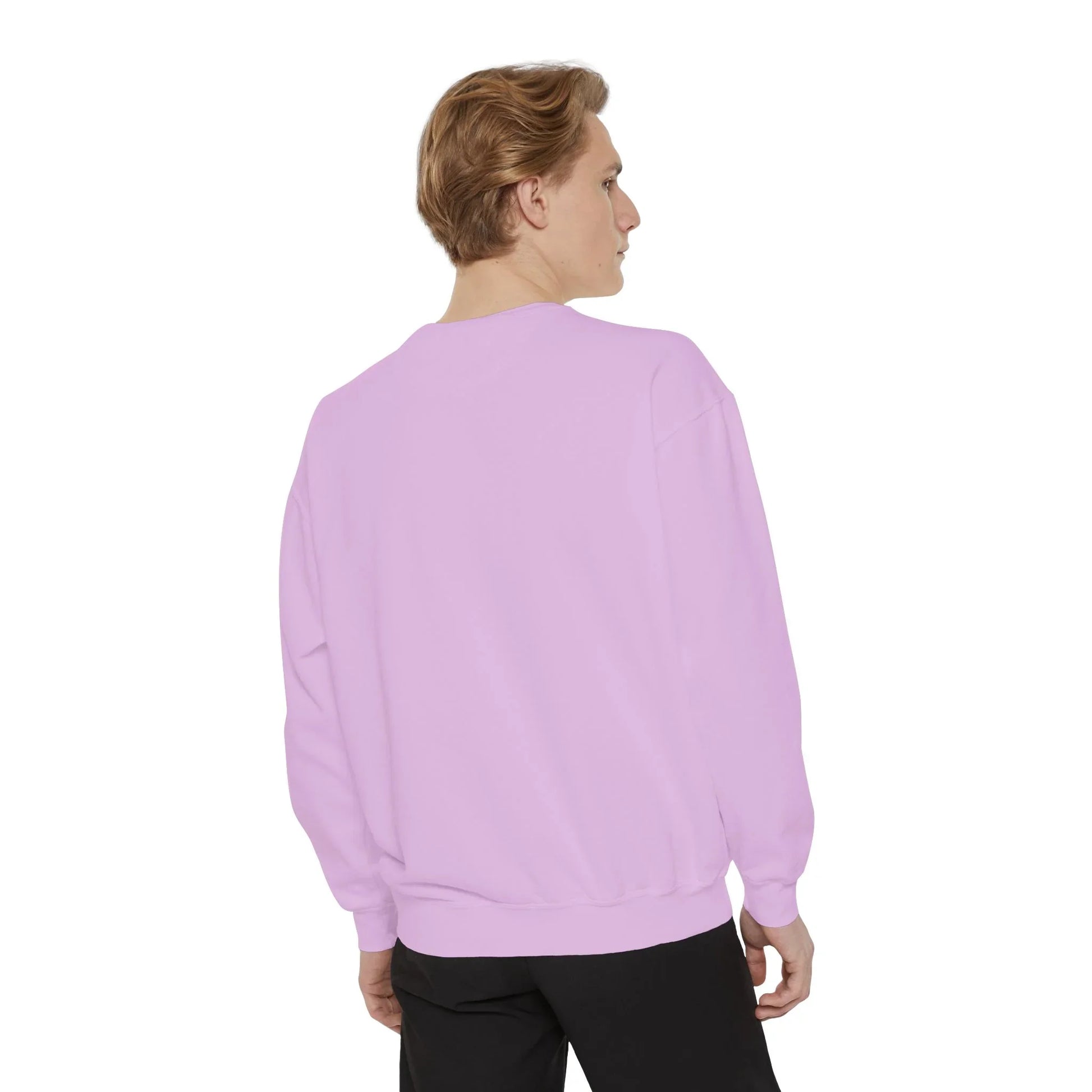 Garment-Dyed Sweatshirt | Issa Snack Or Put It Back