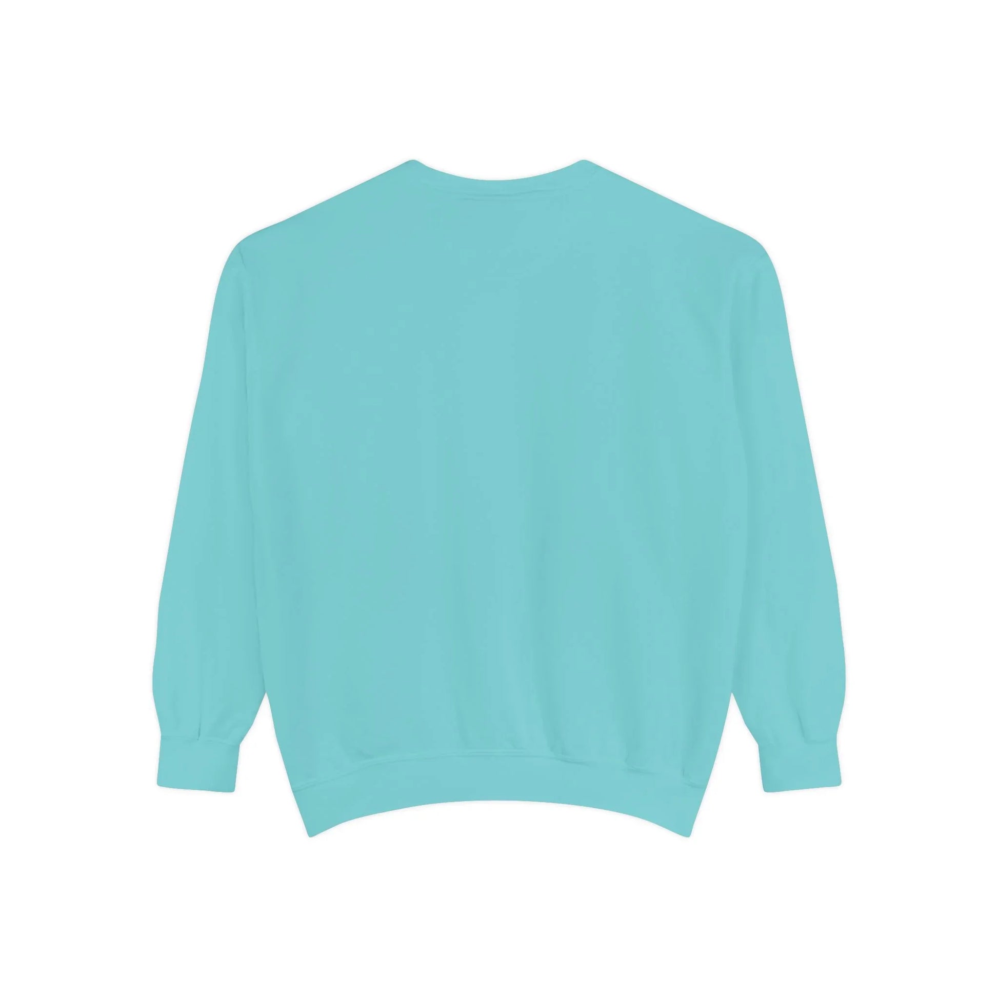 Garment-Dyed Sweatshirt | Issa Snack Or Put It Back