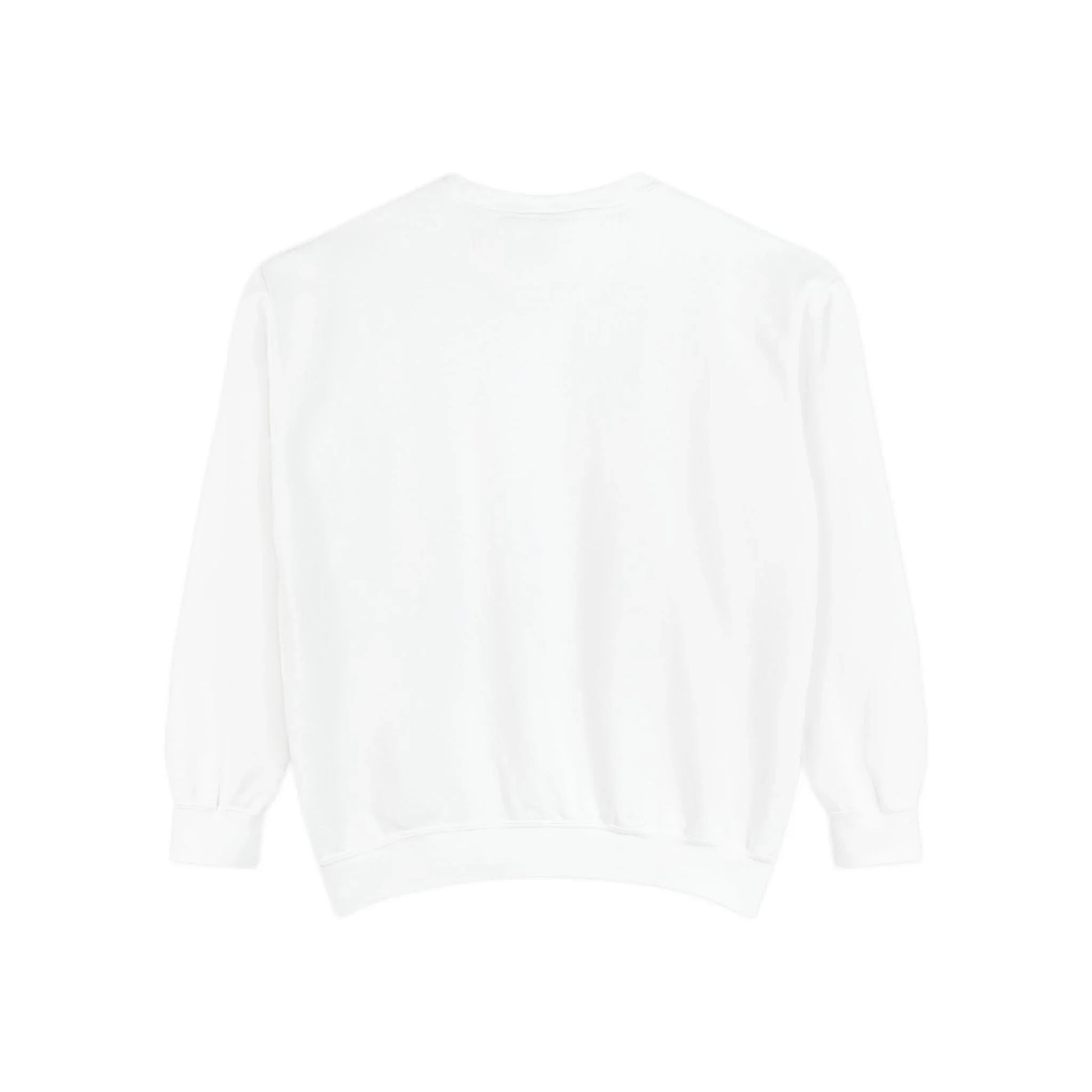 Garment-Dyed Sweatshirt | Issa Snack Or Put It Back