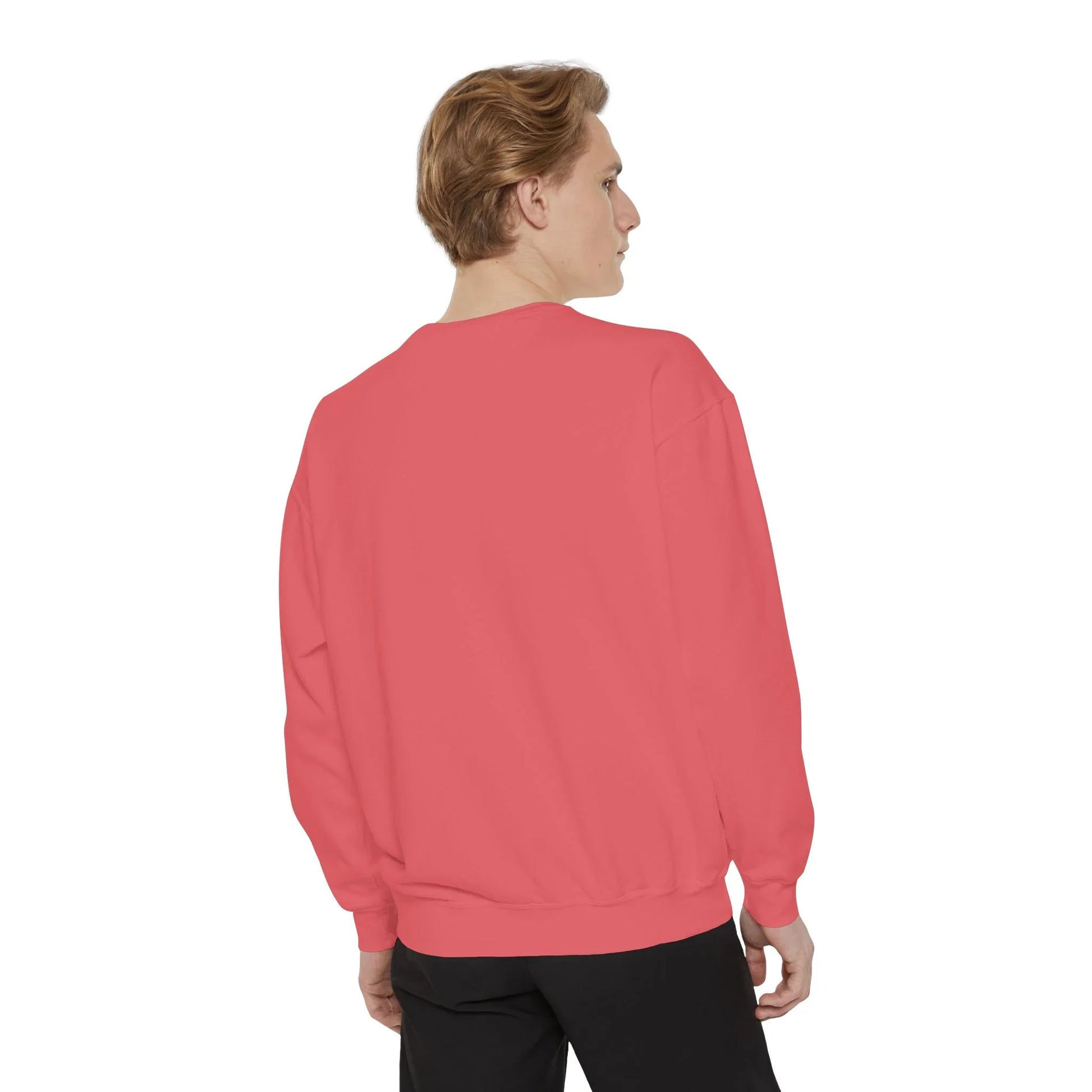 Garment-Dyed Sweatshirt | Issa Snack Or Put It Back